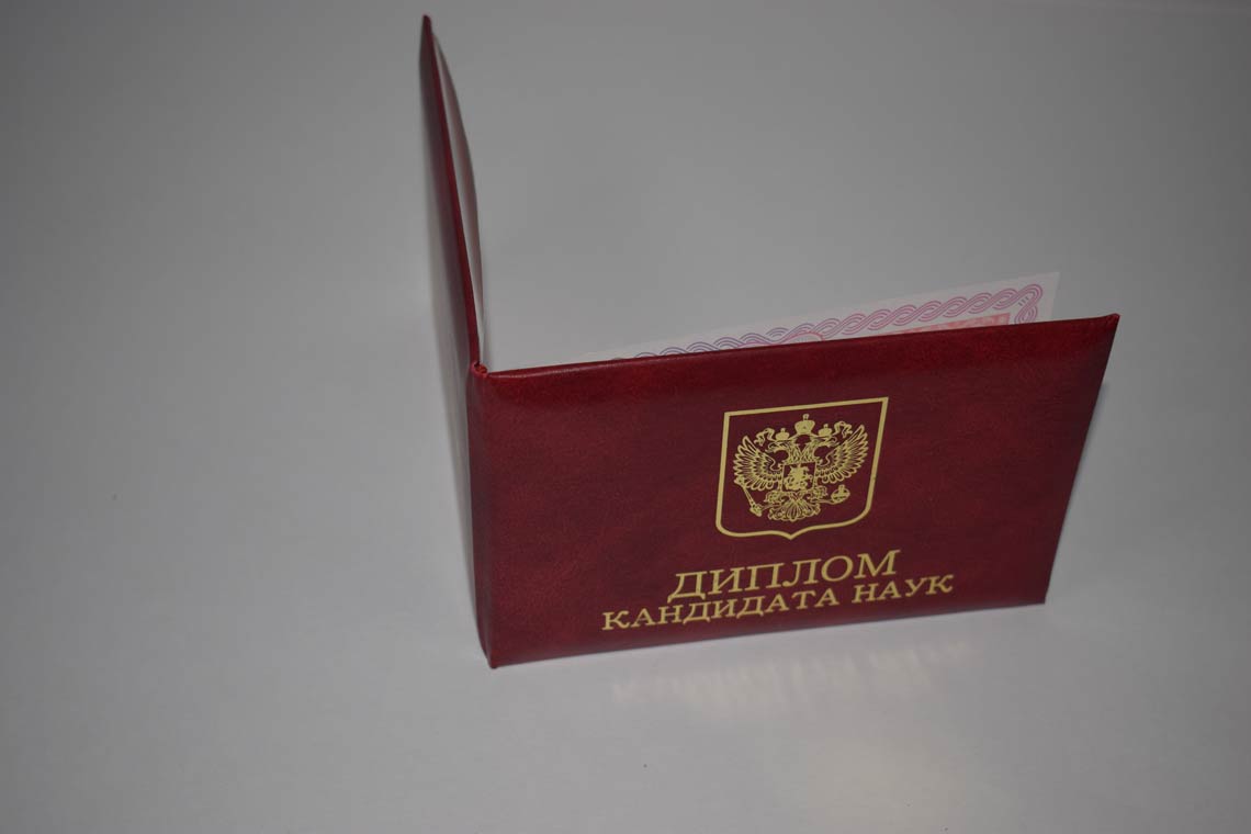 Диплом Кандидата Наук 2013-2016 в Королёве корка