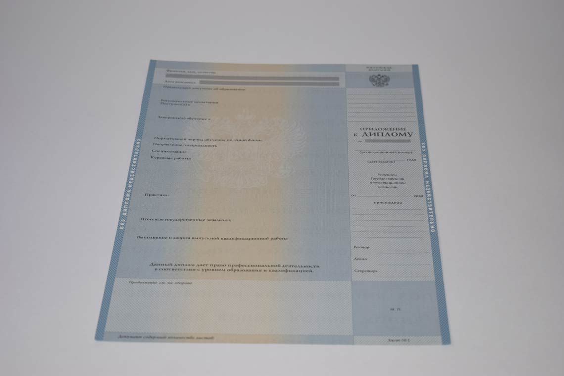 Диплом Магистра с 2003-2008 в Королёве приложение